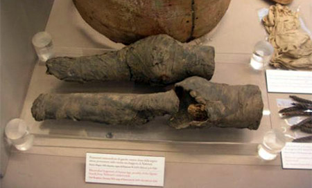 las rodillas momificadas de Nefertari